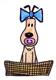 Hund mit Schnulli